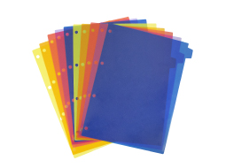 DIVISORIA PP CORES C/10