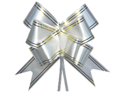 LACO FACIL G (28MMX47CM) - BR E FILETE DUPLO DOURADO C/10