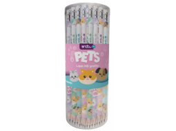 LAPIS HB GRAFITE PLASTICO C/BORRACHA PETS C/72UN