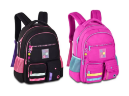 MOCHILA DE COSTAS 17,5" LU24600