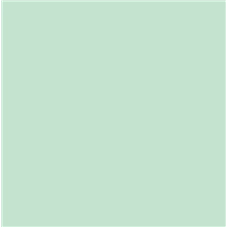 PLACA DE EVA 40X48 PC/10FLS VERDE HORTELA
